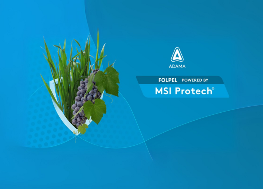 page MSI protech V7