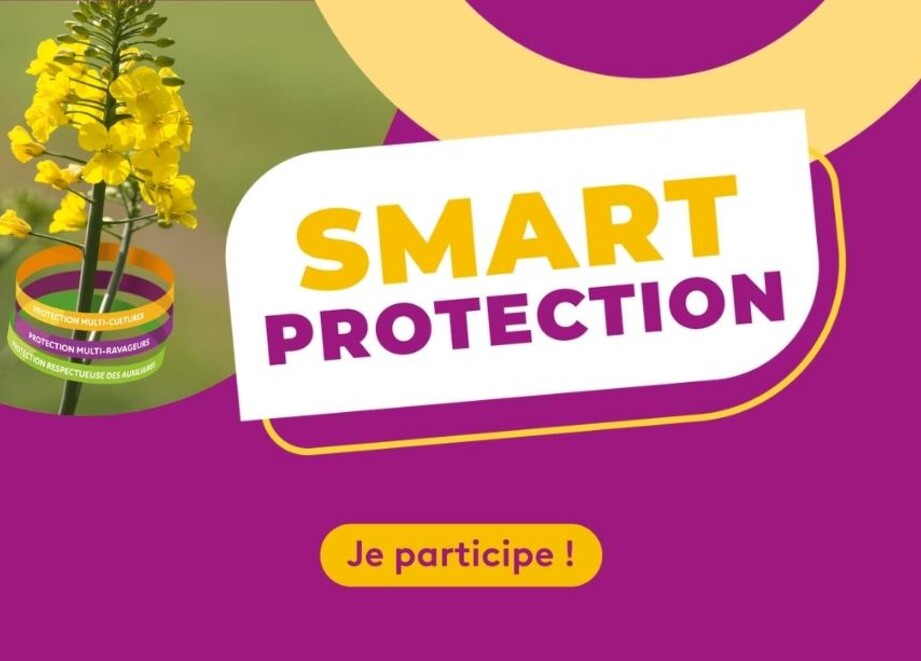 Jeu_Smart_Printemps_2026
