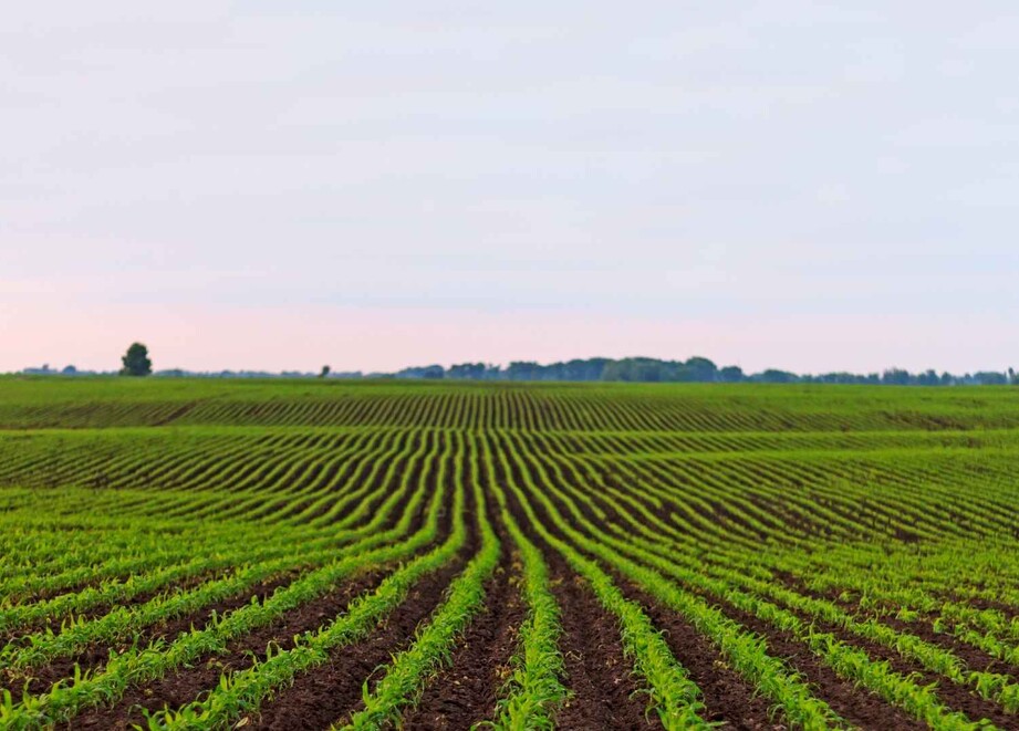 maïstria hub header