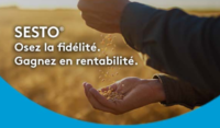 Sesto, osez la fidélité, gagnez en rentabilité
