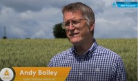 Intéret des multisites par Andy Bailey