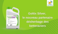 Goltix Silver, le nouveau partenaire désherbage des betteraviers