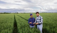 Agriculteur et conseil service dans les céréales