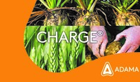 Charge, biosolution fongicide et bactéricide