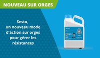 Sesto nouveau fongicide sur orges