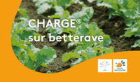 Charge sur betteraves essais 2023