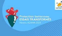 Protection Betteraves Essais transformés Essais 2023