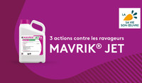 Mavrik Jet contre pucerons de la betterave