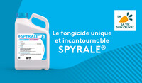 Article Spyrale unique et incontournable sur betteraves