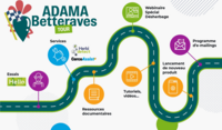 Betterave Tour ADAMA