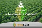 Vidéo Vignexel
