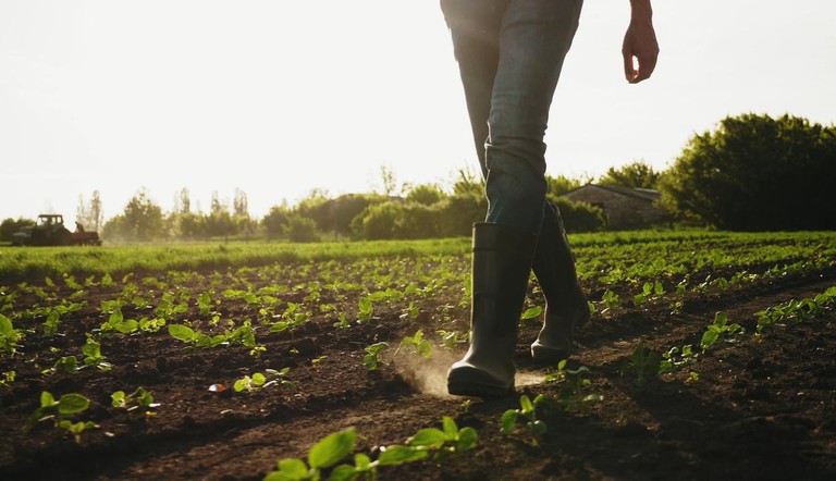 Farmer walking