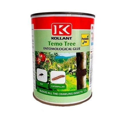 temotree_kollant