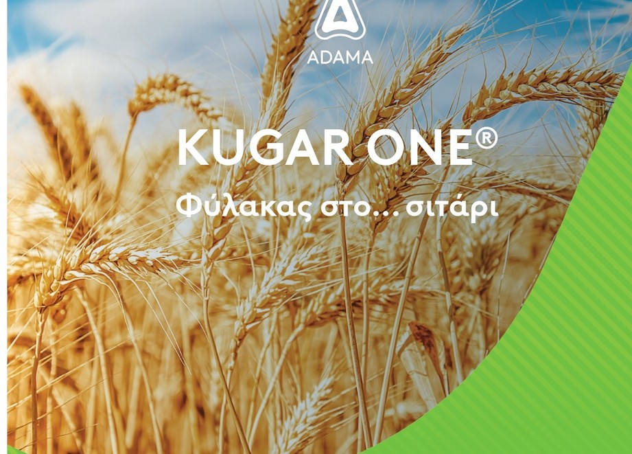 Kugar One