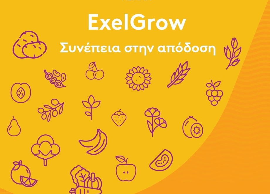 exelgrow