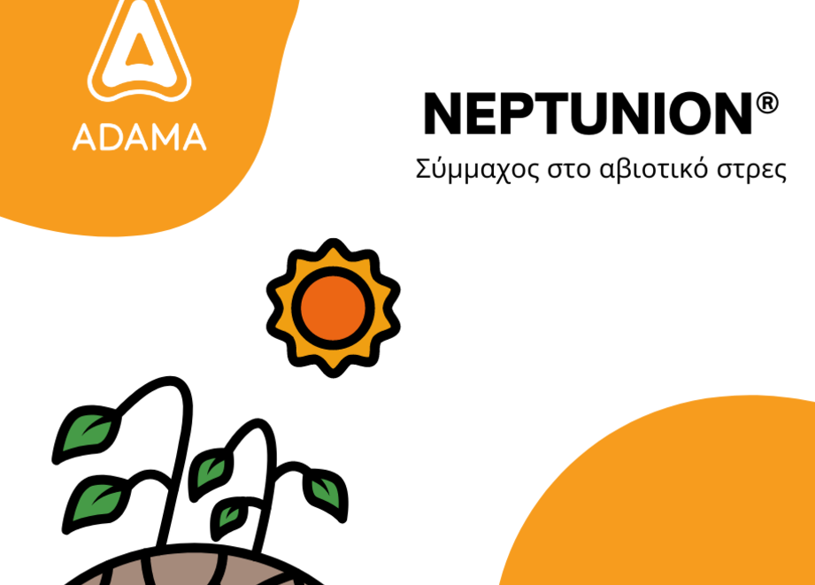 neptunion
