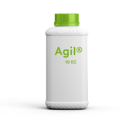 AGIL