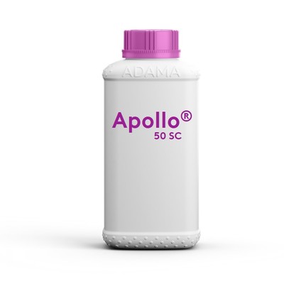 apollo 50