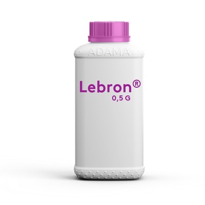 lebron_05