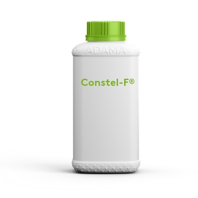 constelf