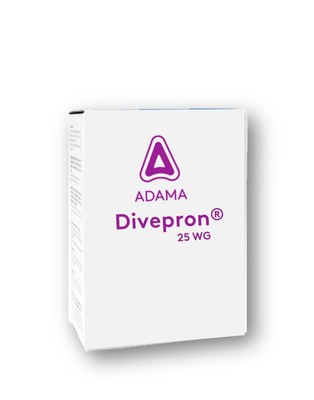divepronwg