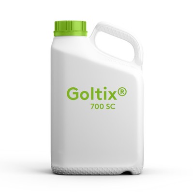 goltixsc
