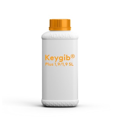 keygibsl