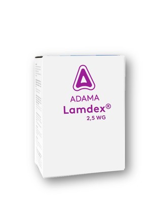 lamdexwg