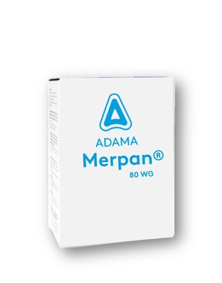 merpanwg