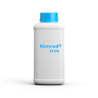 nimrodew1