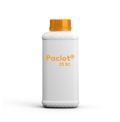 paclotsc