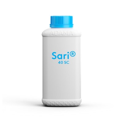 sarisc