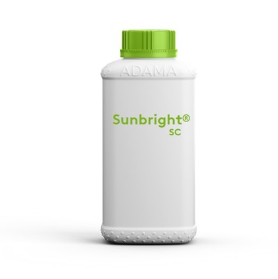 sunbrightsc