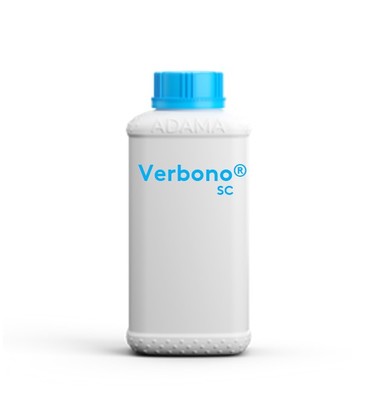 verbonosc