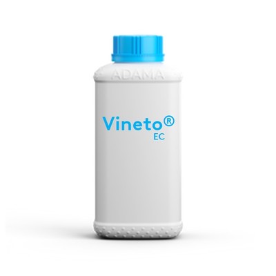 vinetoec