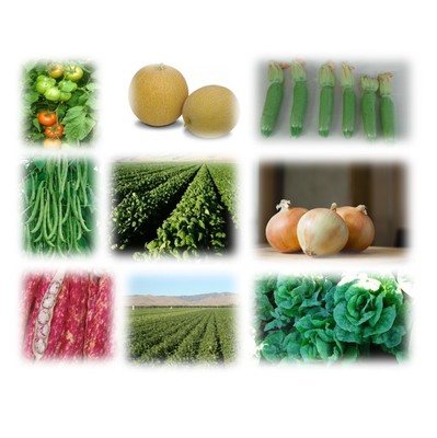 vegetables