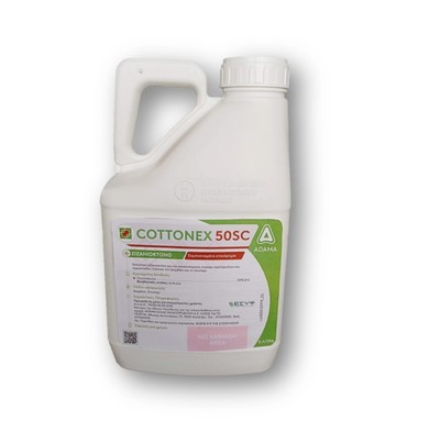cottonex