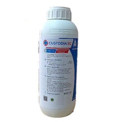custodia