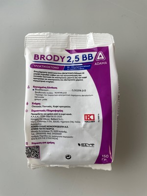 brody bb