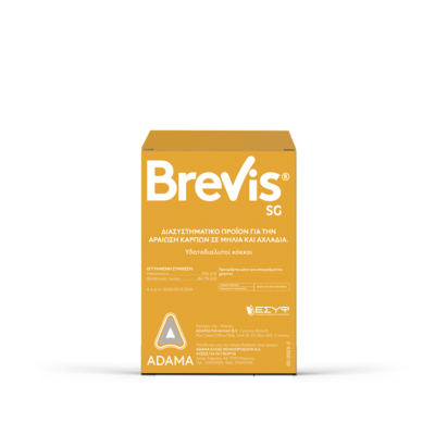 brevis