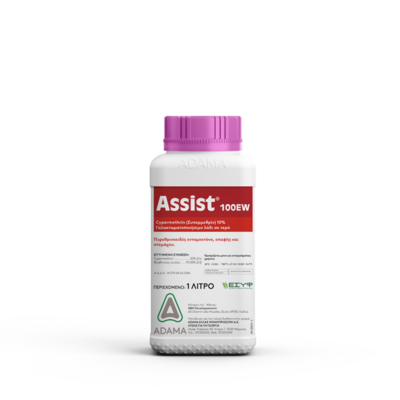 assist