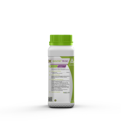 goltix