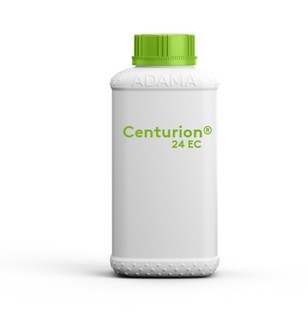 centurion24ec