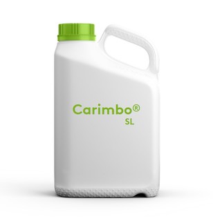 carimbosl