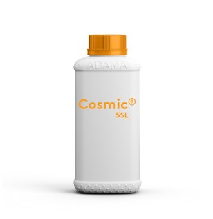 cosmicSL