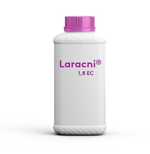 laracniec