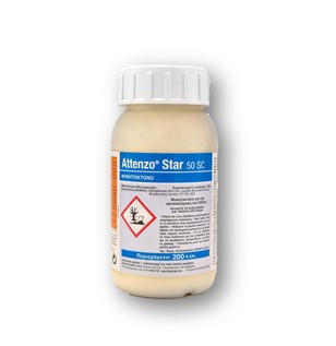 attenzo_star