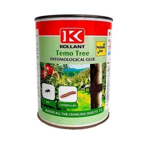temotree_kollant