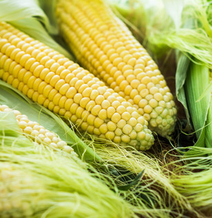 corn