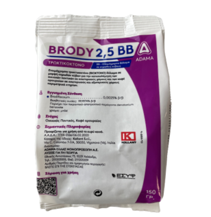 brody bb